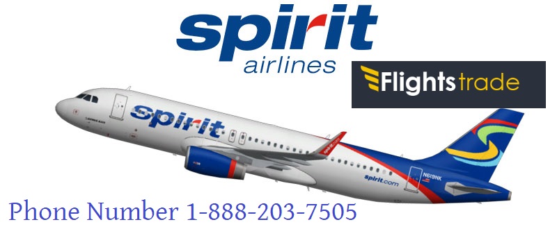 spirit airlines phone number puerto rico